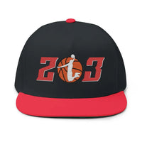 Flat-Brim Basketball Snapback – Mesh Back Hat